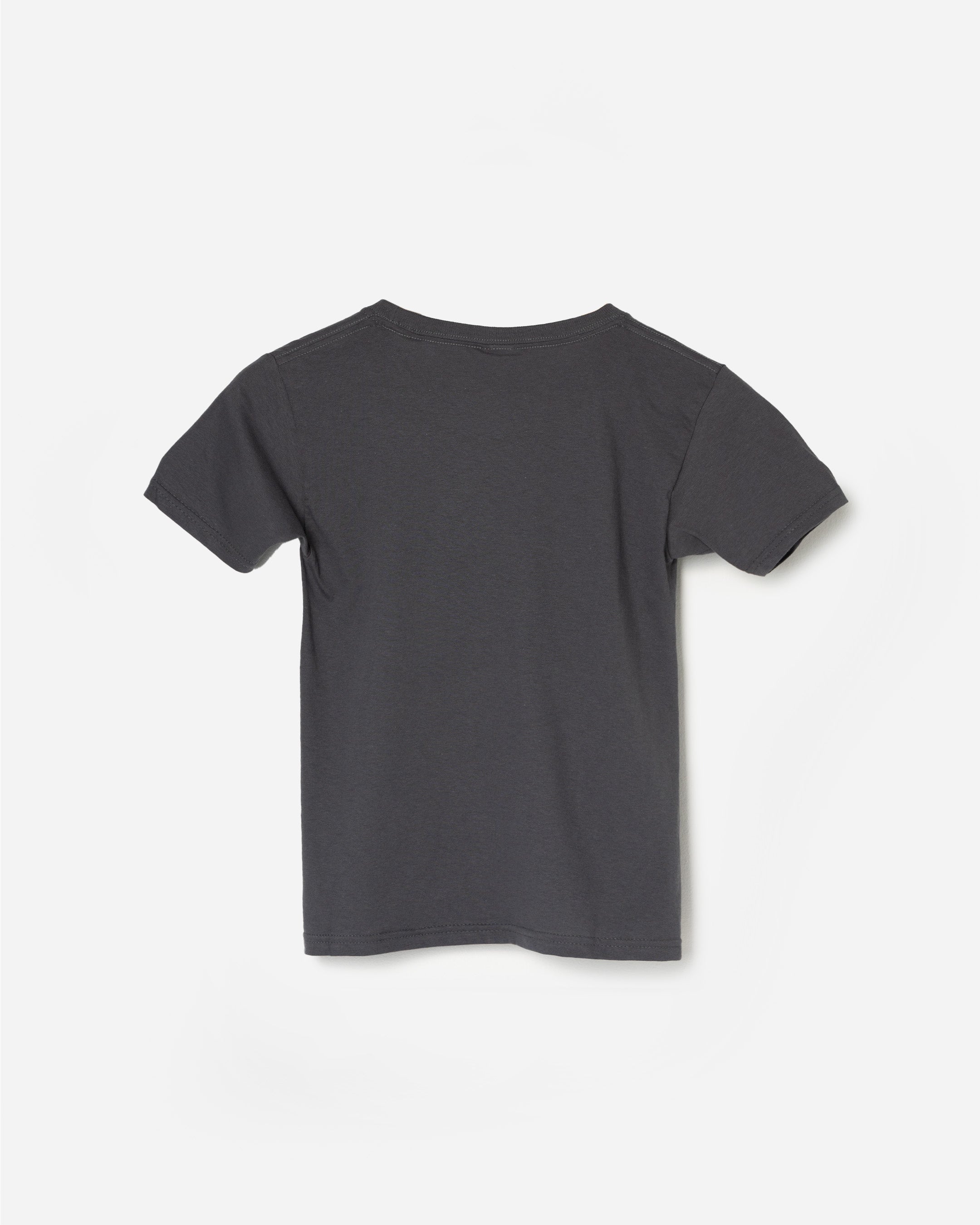 2025-EarnednNotGiven_-_Gray_Tee_2.jpg