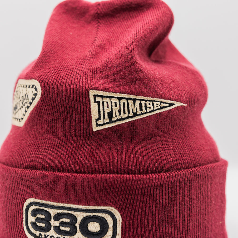 Classic Cuffed Akron Beanie