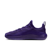 TR1: Purple Rain