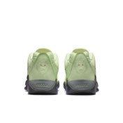 LEBRON WITNESS IX: Green with Envy