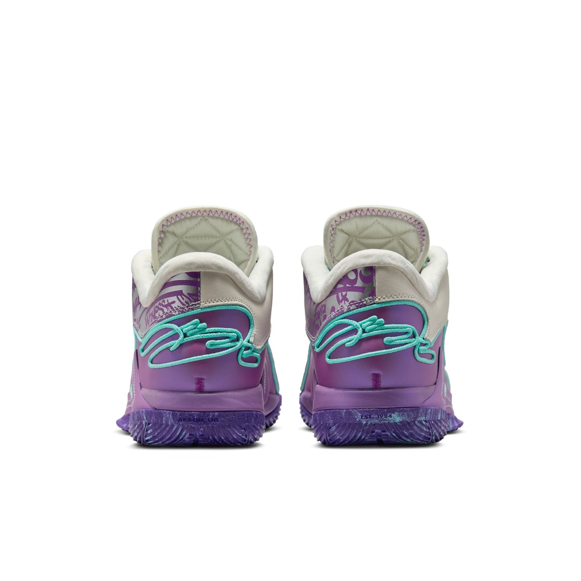 LeBron XXII: Frozen Grapes