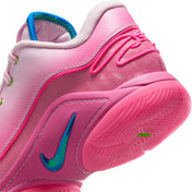 LeBron XXII: I PROMISE