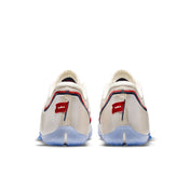 LeBron XXIII: Old Glory