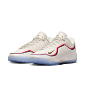 LeBron XXIII: Old Glory