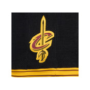 Throwback 2016 LeBron James CLE Short