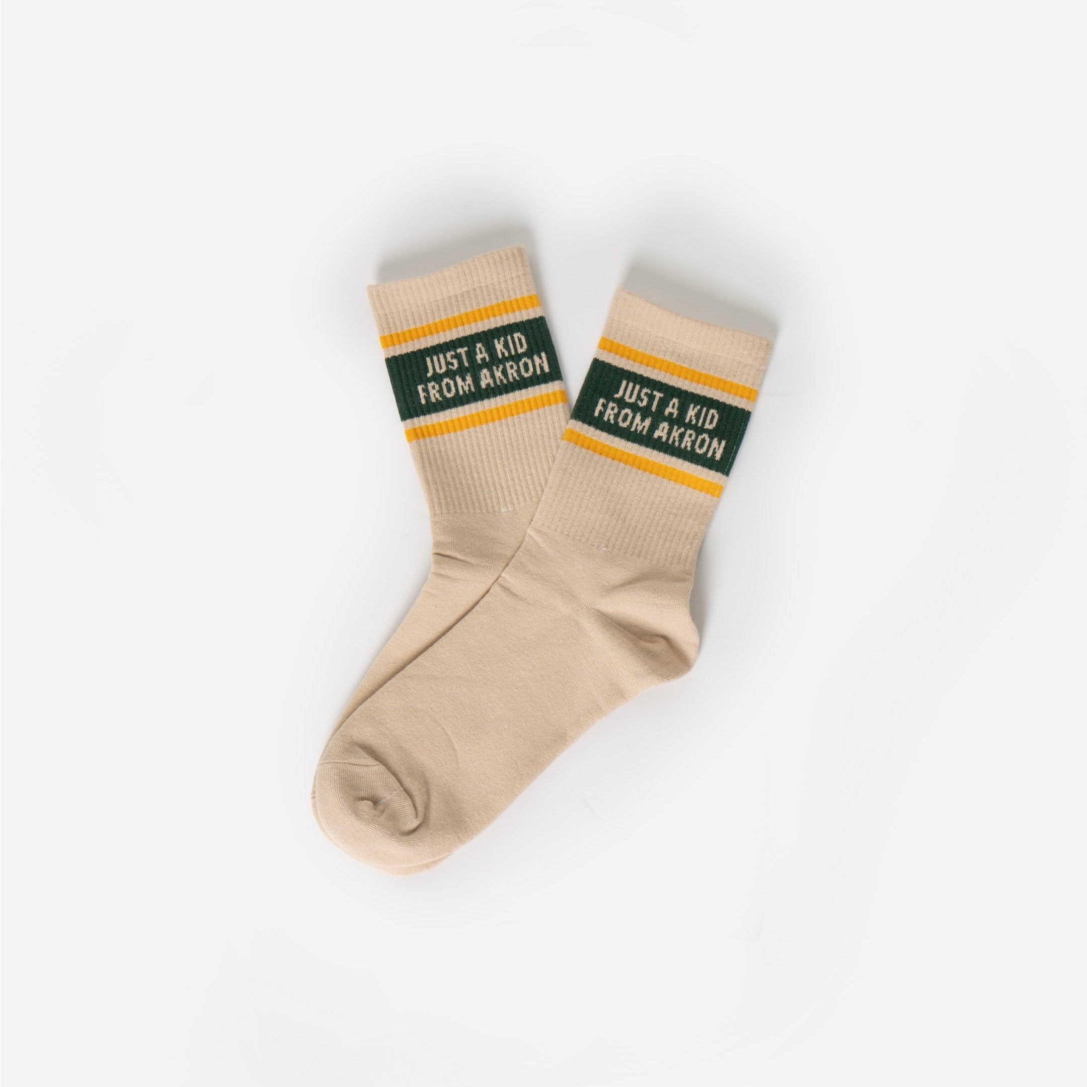 LJFF-JustaKidfromAkron-sockstan.jpg