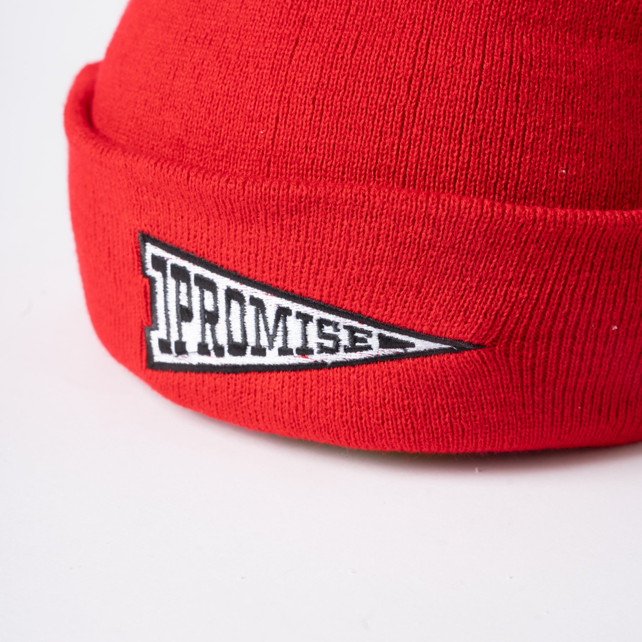 LJFF-Q12025-IPromiseBeanieRed-00037.jpg