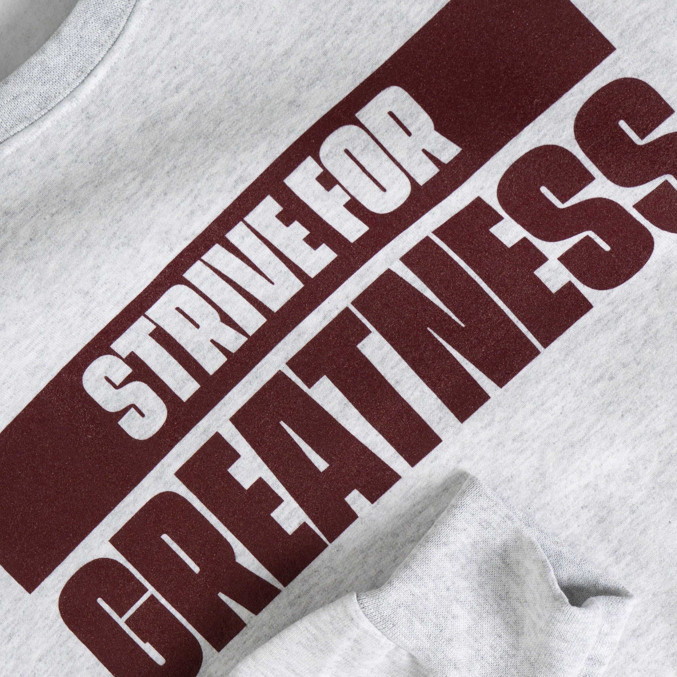 LJFF-StriveforGreatnessgraycrewneck4.jpg