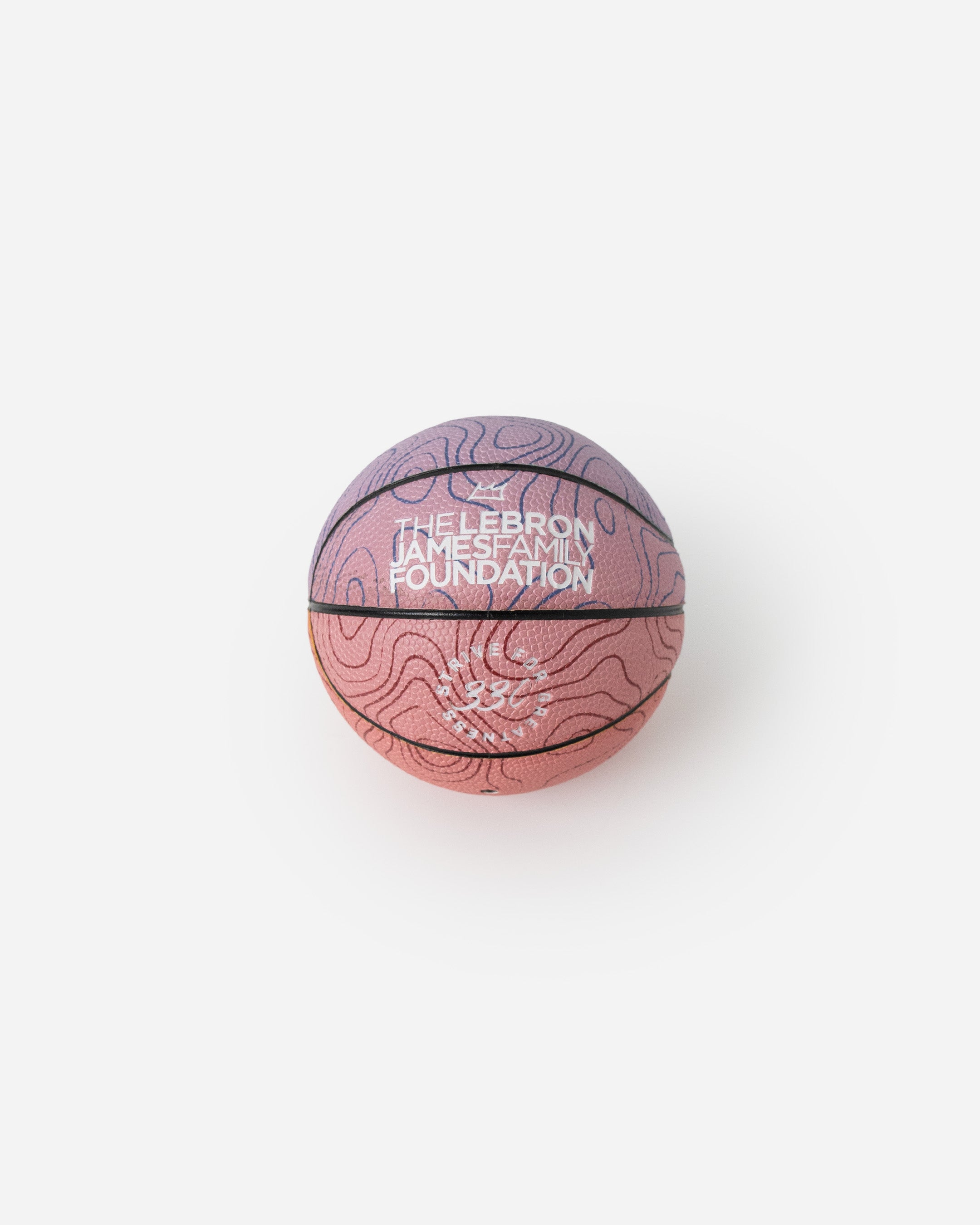 Strive for Greatness Mini Basketball