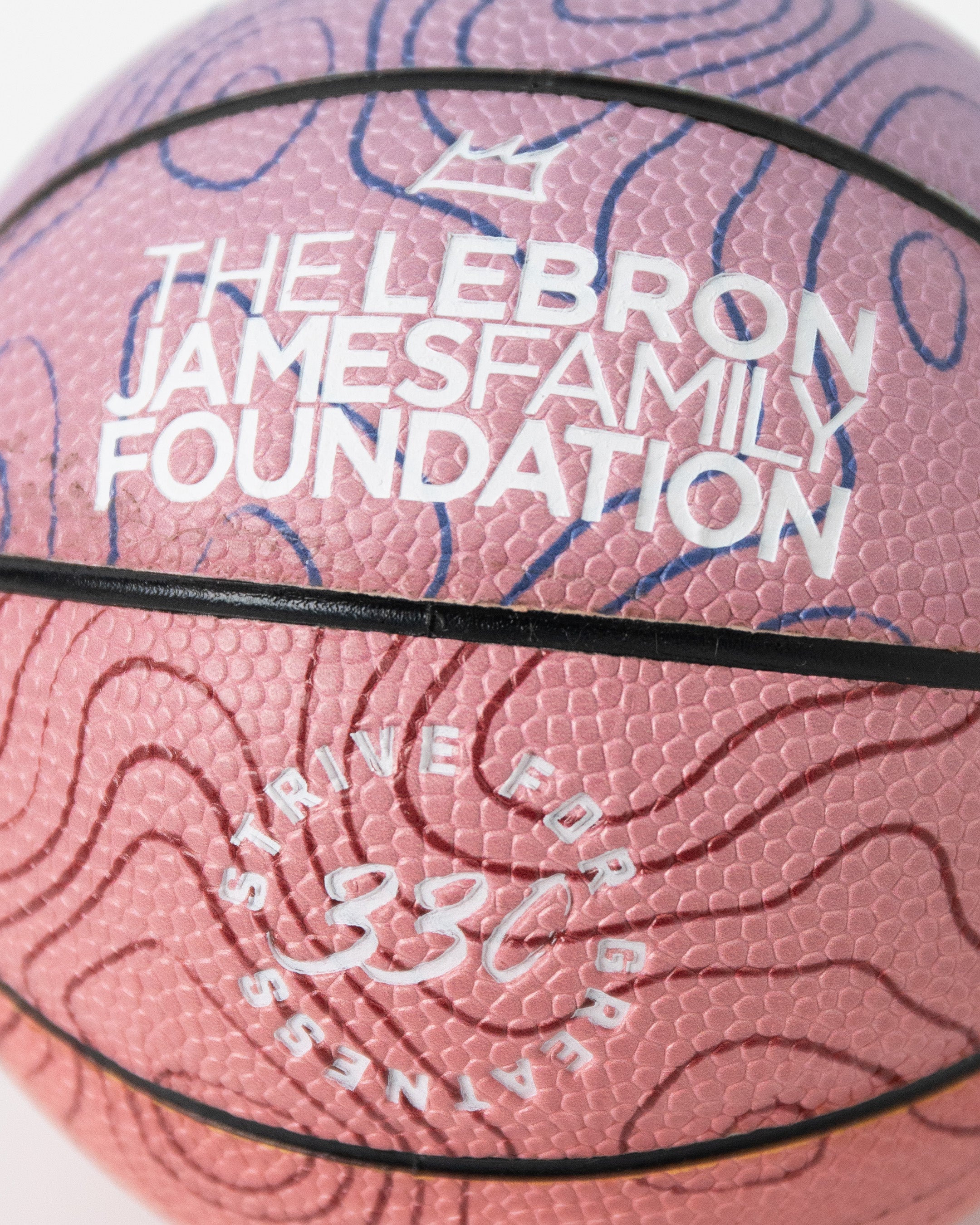 LJFFminibasketball3.jpg