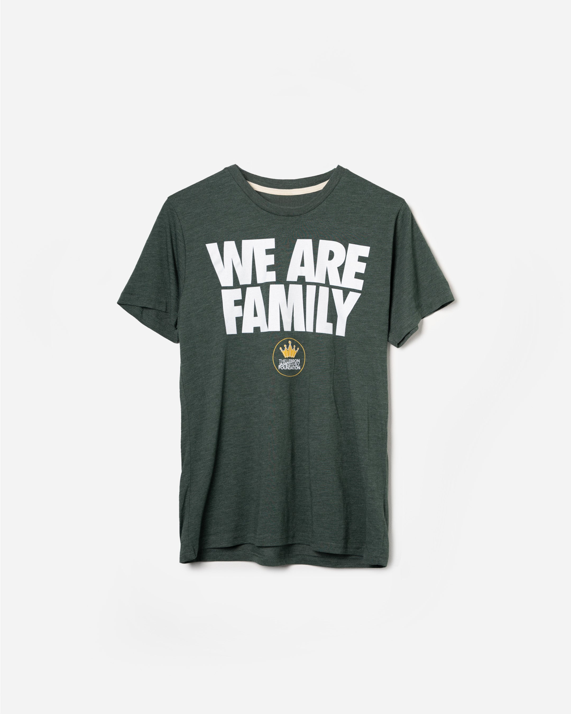 lebron we are family hoodie