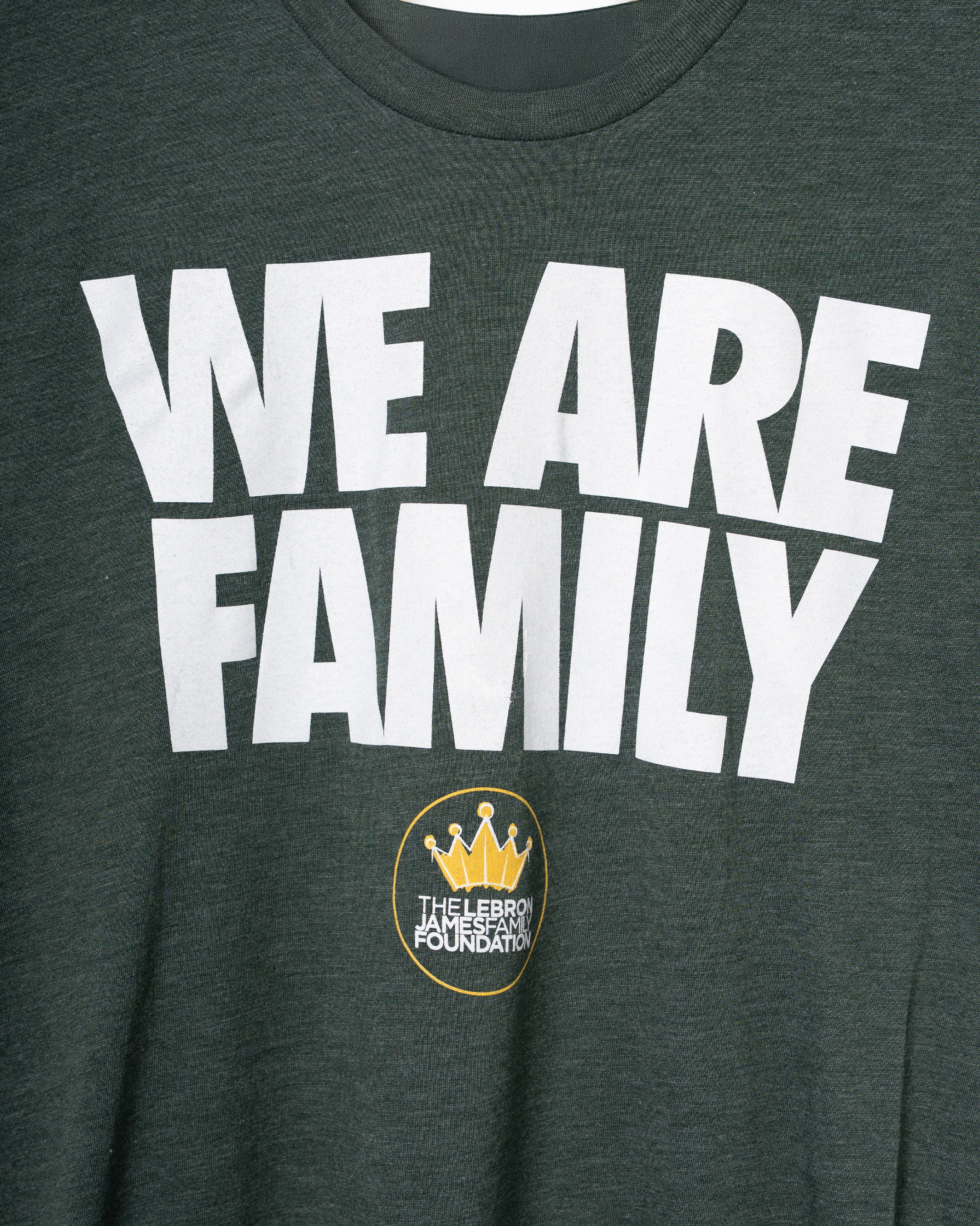 LJFFwearefamilygreentee2.jpg