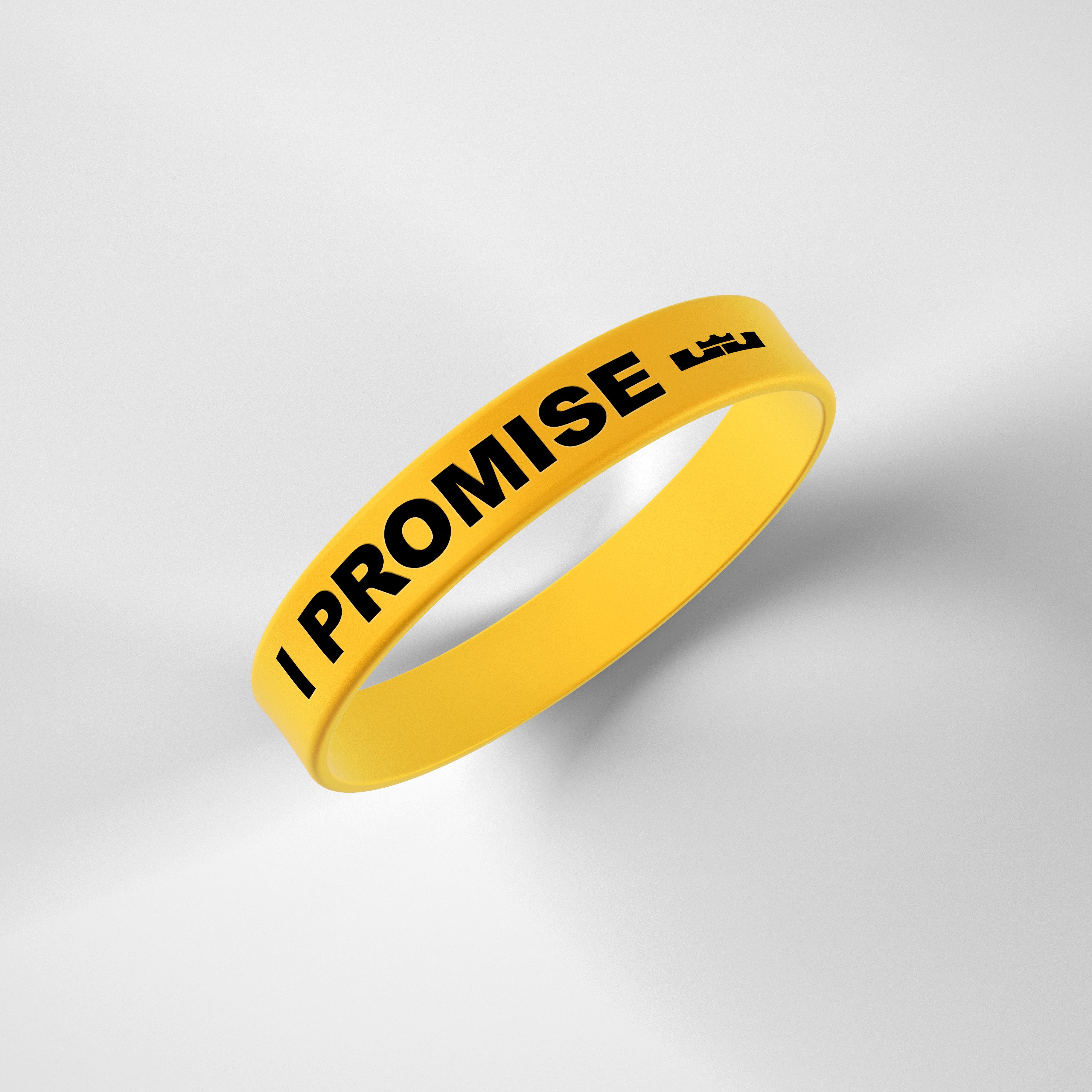 LeBron James' Home Court I PROMISE Band