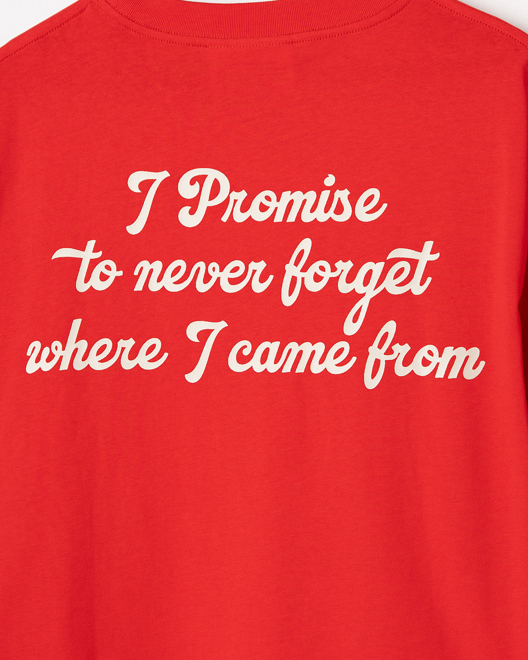 Ohio Pocket Tee (Red)