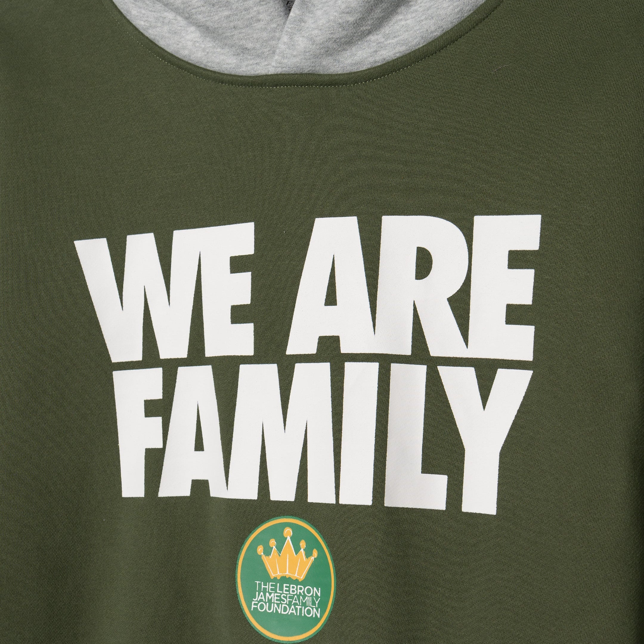 Two-Tone We Are Family Hoodie (Green & Grey)